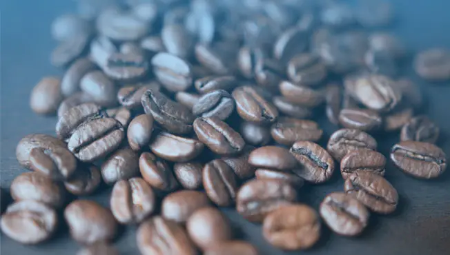 arabica coffee bean
