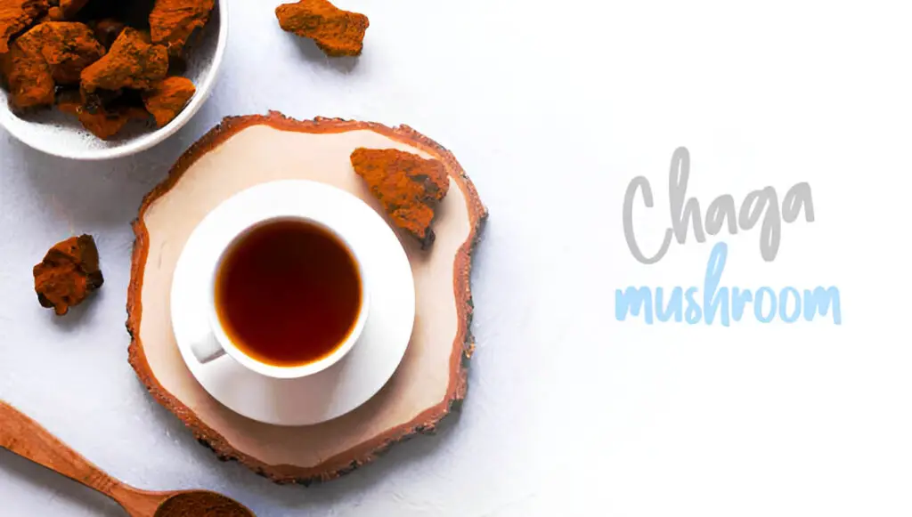 chaga mushroom in coffee
